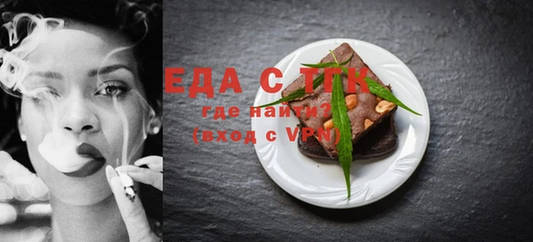 индика Няндома