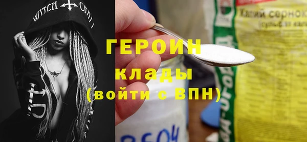 индика Няндома