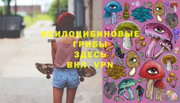 мет Болхов