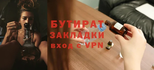 индика Няндома