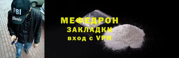 индика Няндома