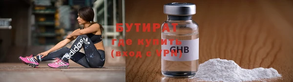 индика Няндома