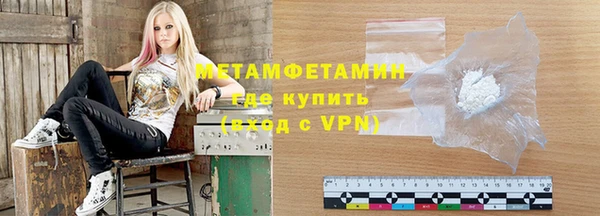 индика Няндома