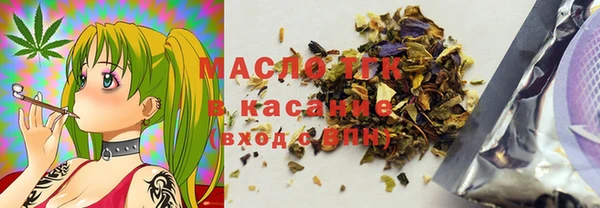 индика Няндома