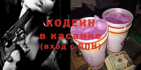 индика Няндома